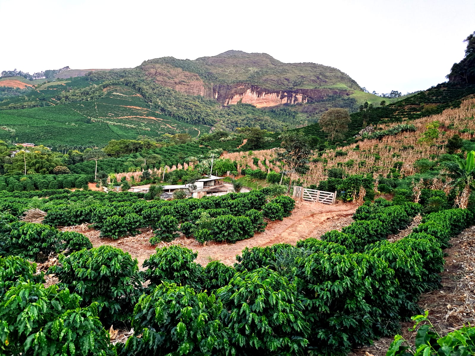 Finca Sitio dos Portilhos