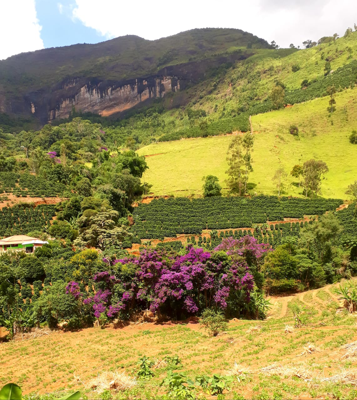 Finca Sitio dos Portilhos