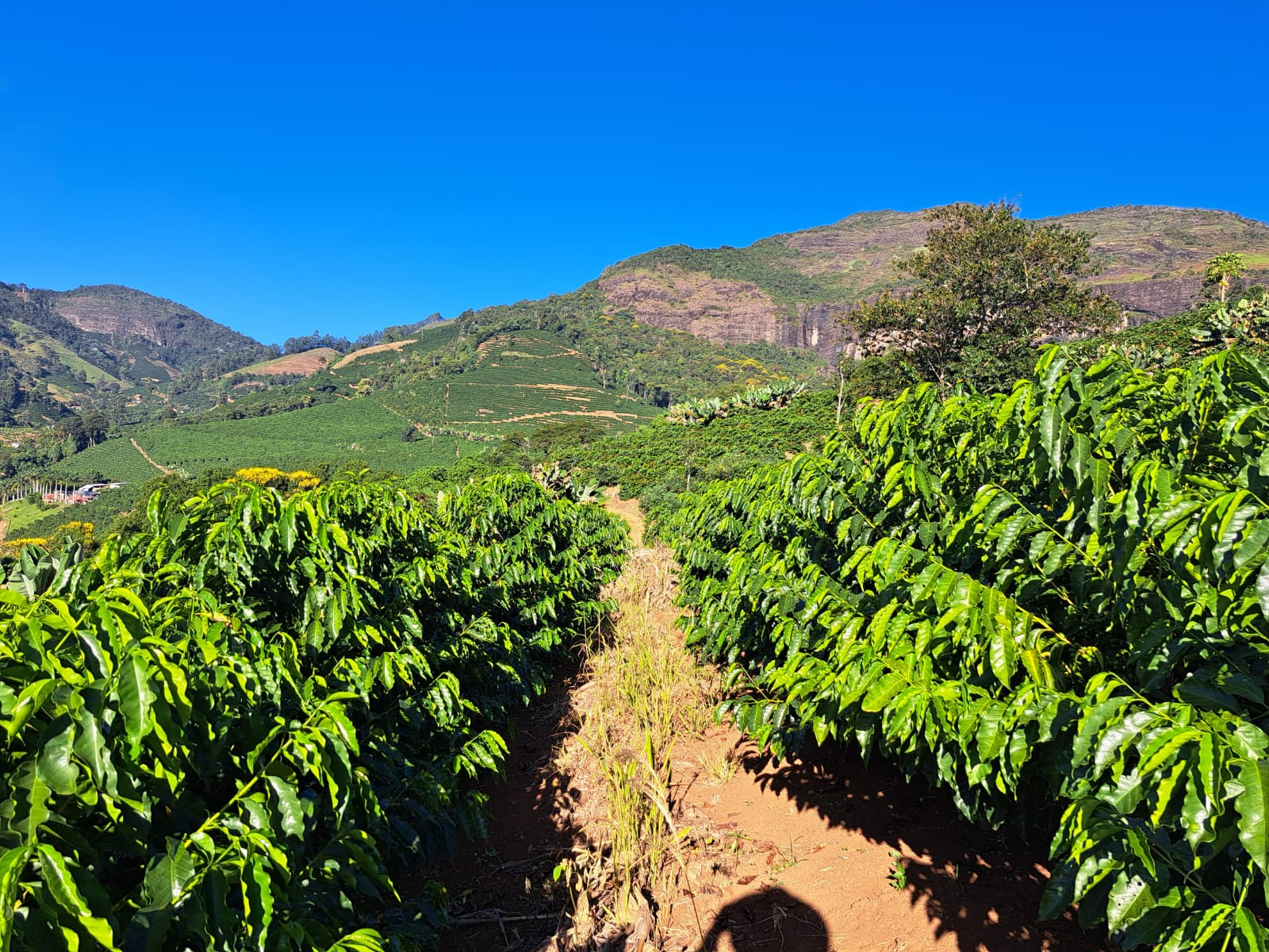 Finca Sitio dos Portilhos